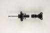 BILSTEIN 22-196019 Shock Absorber